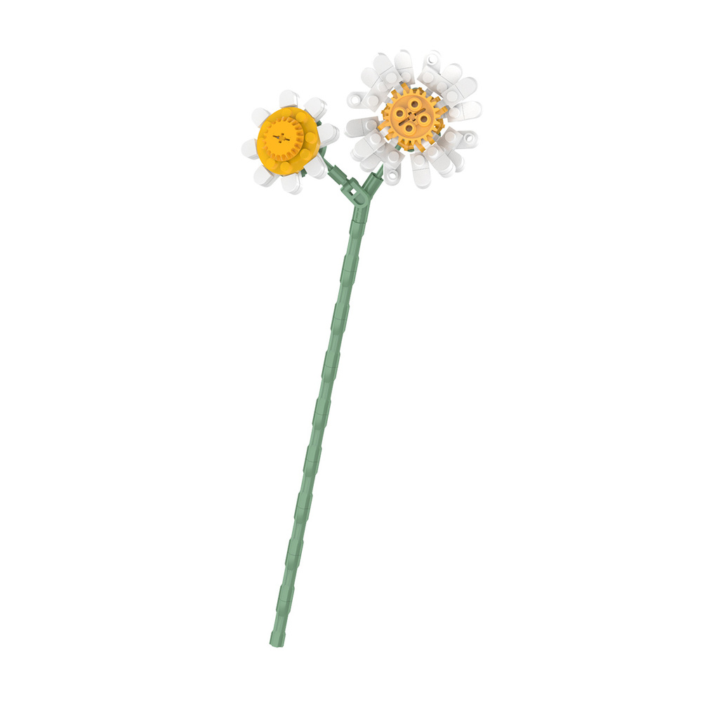 JK2632 ?小雛菊(清新白）